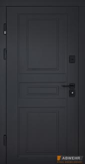 Двері Scandi 498
